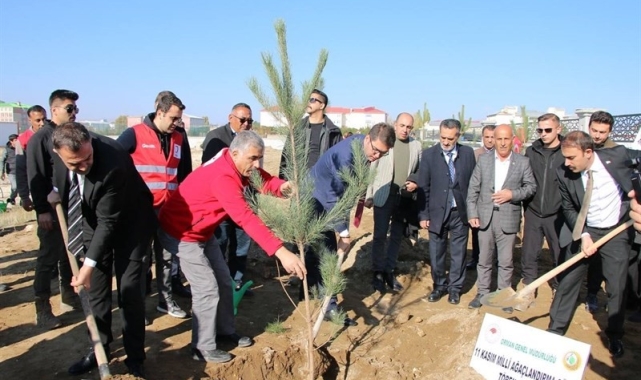 Erciş'te fidan dikme etkinliği