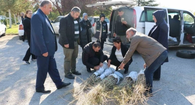 Erzincan'da goji berry yetiştiriciliği başladı
