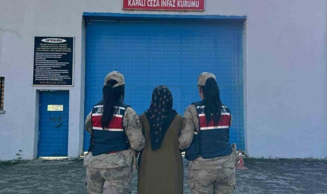 Erzurum'da FETÖPDY operasyonu