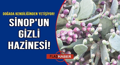 Faydalı olmadığı hastalık yok