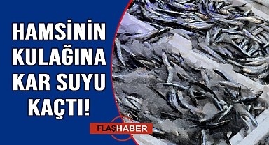 Fırtına sonrası tezgahlar şenlendi