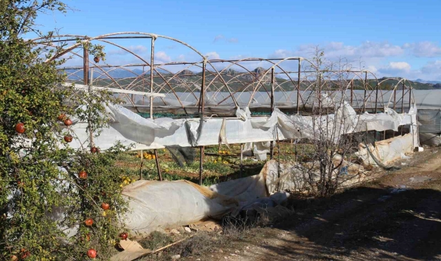 Fırtına ve hortum sonrası Antalya'da hasar tespiti sürüyor