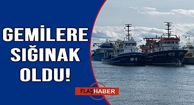 Fırtınadan kaçan gemiler Sinop Limanı'na sığındı
