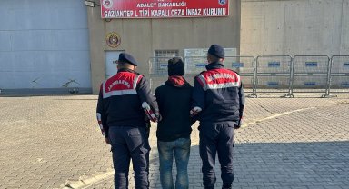 Gaziantep'te zeytin hırsızlığı şüphelisi tutuklandı