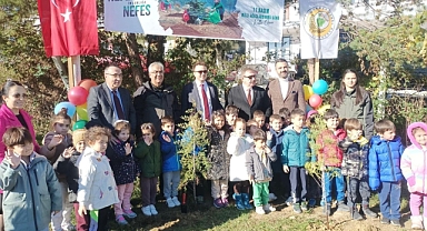 Gerze’de fidan dikim etkinliği düzenlendi
