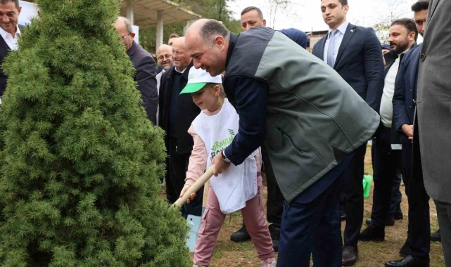 Giresun'da 1 milyon ağaç toprakla buluşacak
