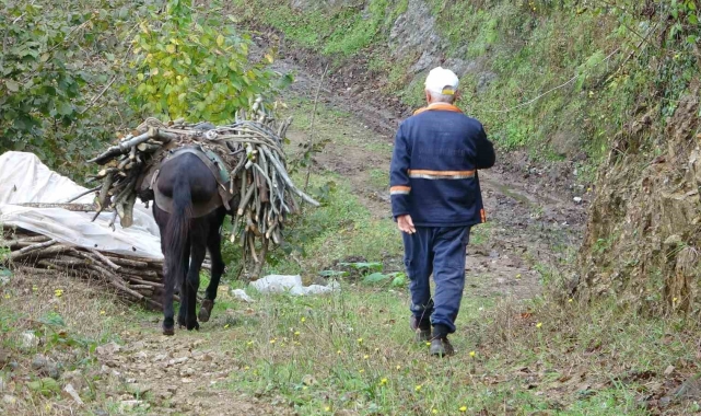 Giresun'un köylerinde katırcılık sona eriyor