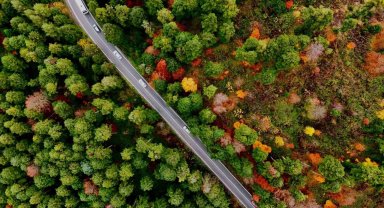 Gölcük Tabiat Parkı'nda mest eden sonbahar görüntüsü
