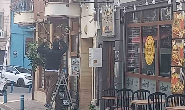 Göz göre göre sokaktaki güzelim ağacı kesti