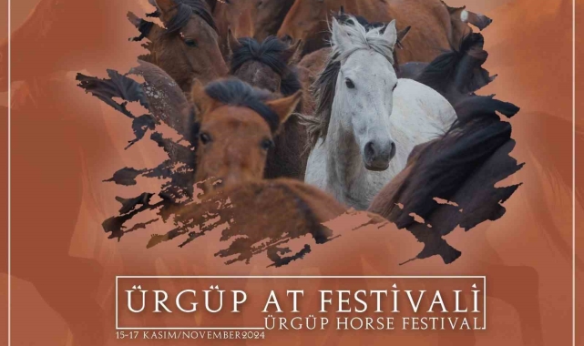 Güzel atlar diyarında, 'at festivali' yapılacak