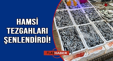 Hamsi Sinop'taki tezgahlarda yerini aldı