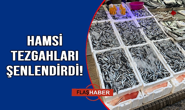 Hamsi Sinop'taki tezgahlarda yerini aldı