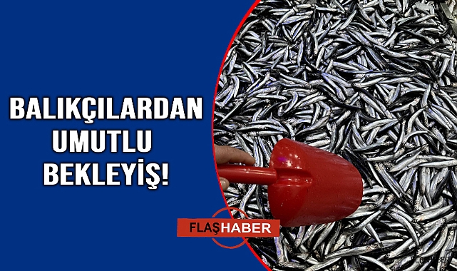 Hamsi tezgahlarda yerini almaya başladı