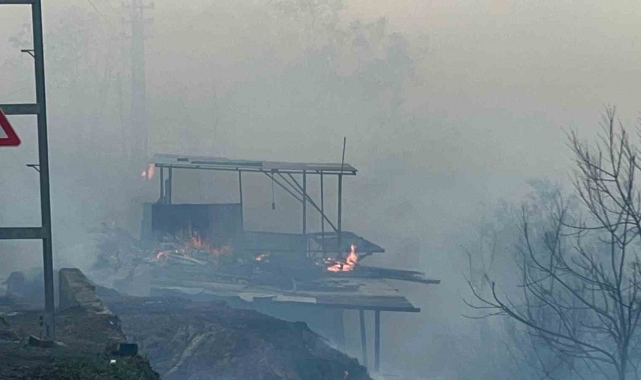 Hatay'da orman yangını evlere sıçradı