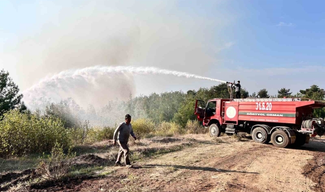 Hatay'da orman yangını rüzgarın etkisiyle büyümeye devam ediyor