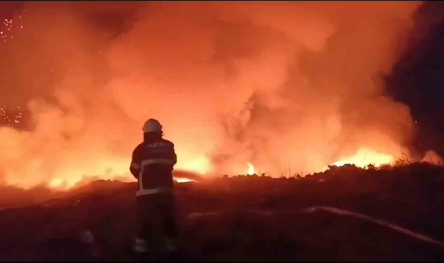 Hatay'da tarım arazisinde yangın: Alevler geceyi aydınlattı