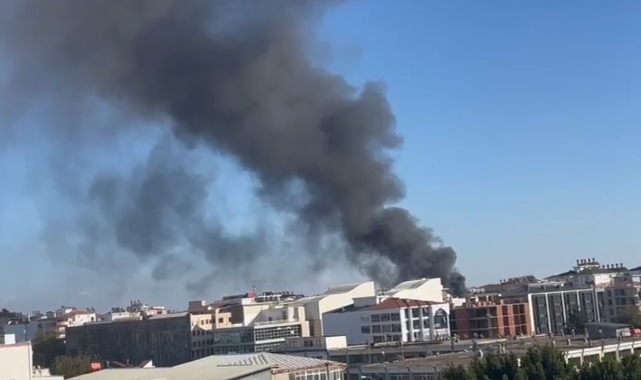 İşçilerin kaldığı konteynerler alev alev yandı, muhabirliğe soyunan vatandaş kayıttan çıkmayıp 'İtfaiyeyi arayın' dedi