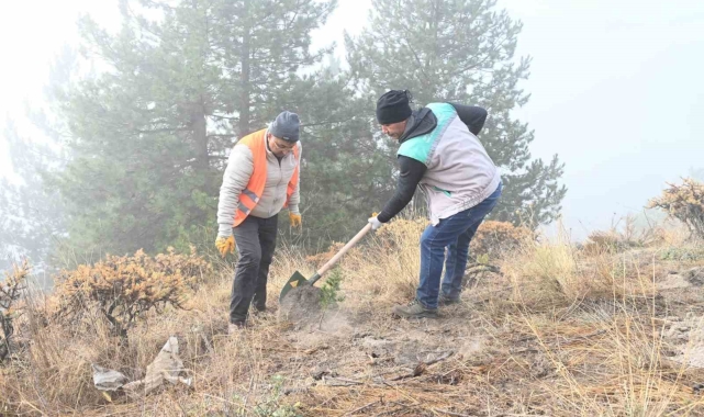 Isparta Belediyesi Gölcük Tabiat Parkı'nda fidanlar toprakla buluşturuldu