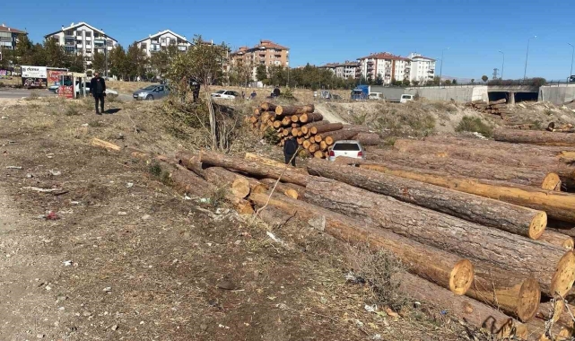 Isparta'da kontrolden çıkan otomobil tomrukların üzerinden düştü: 2 yaralı