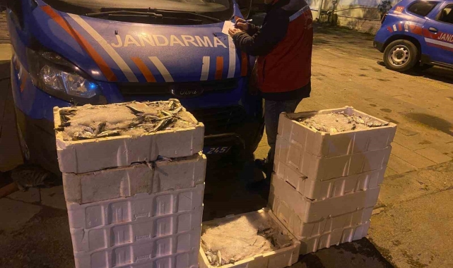 İstanbul'da yasadışı küçük boy balık nakli yapanlara ceza yağdı