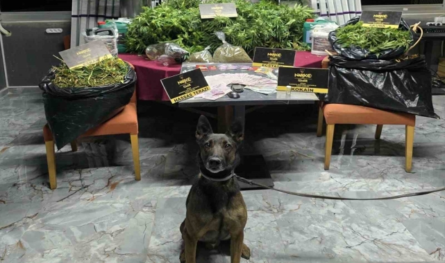 İzmir'de zehir tacirlerine 'Rex'li baskın: 1 tutuklama