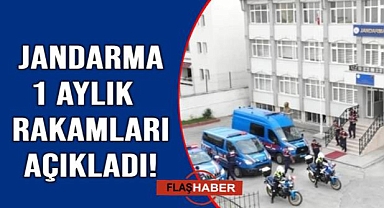 Jandarma’dan 1 aylık asayiş bilançosu
