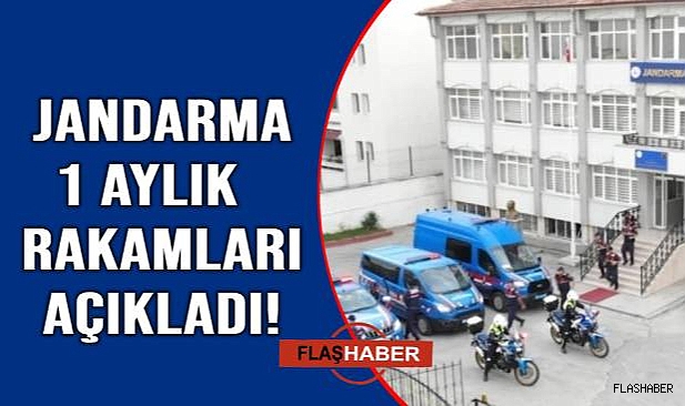 Jandarma’dan 1 aylık asayiş bilançosu