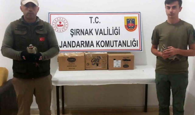 Jandarmanın dikkati ile 6 kınalı keklik kurtarıldı