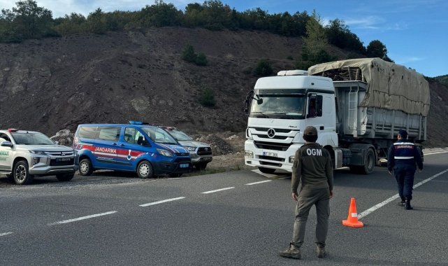 Kaçak orman emvali ile ilgili denetimler sürüyor
