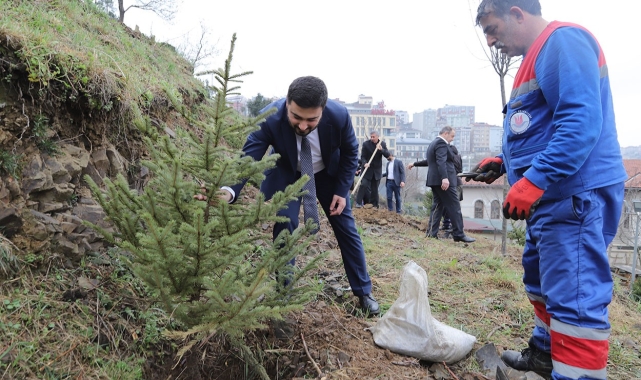 Kağıthane'de yeşil gelecek: Her bebek bir ağaçla büyüyor