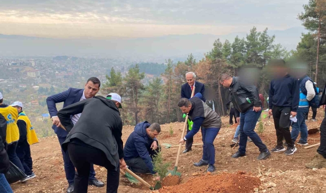 Kahramanmaraş'ta denetimli hükümlüler fidan dikti