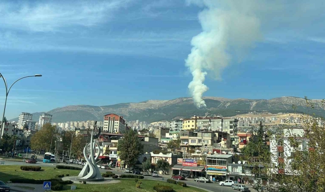 Kahramanmaraş'ta orman yangını