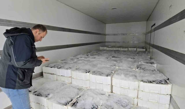 Karadeniz'de hamsi bereketi yaşanmaya başlandı