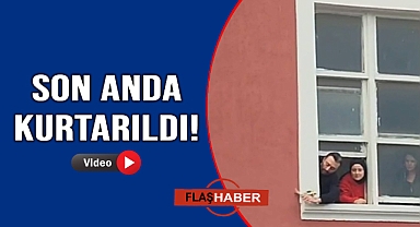 Kargaların pençesinden son anda kurtarıldı