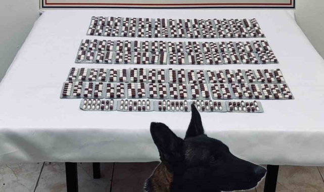 Kastamonu'da 991 adet sentetik ecza hapı ile yakalanan şahıs tutuklandı