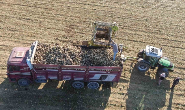 Kastamonu'da çiftçilerin zorlu pancar mesaisi devam ediyor