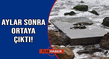 Kaybolan platform parçası sahile vurdu