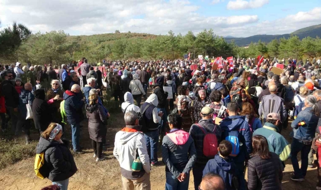 Kaz Dağları'ndaki ağaç kesimine çevrecilerden tepki