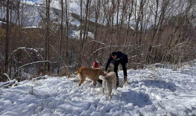 Keçiören Belediyesi, sokak hayvanlarını unutmadı
