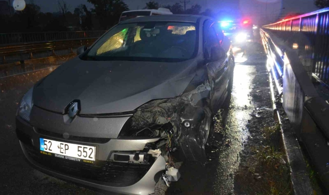 Kediye çarpmamak için bariyerlere çarptı: 2 yaralı