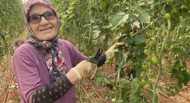 Kocası 5 çocuğuyla bırakıp kaçınca 46 sene ev temizledi, şimdi ise 75 yaşında serada çalışıyor