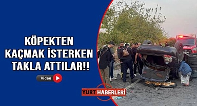 Köpeğe çarpmamak için manevra yapan araç takla attı