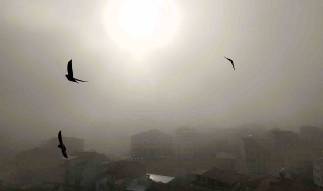 Malatya güne sis ile uyandı
