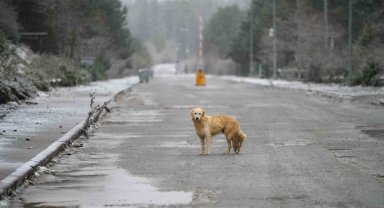 Manisa Spil Dağı'na mevsimin ilk karı düştü