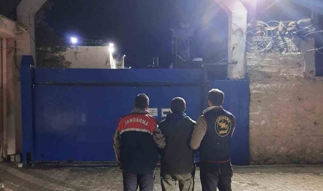 Mardin'de 31 yıl hapis cezası bulunan firari hükümlü yakalandı