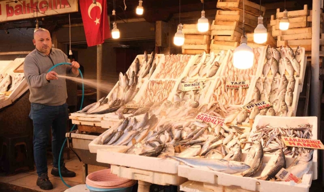 Mersin'de dev balık bin 500 liradan alıcı buldu