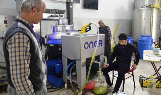 Mersin'de üreticilerin zeytinyağı telaşı