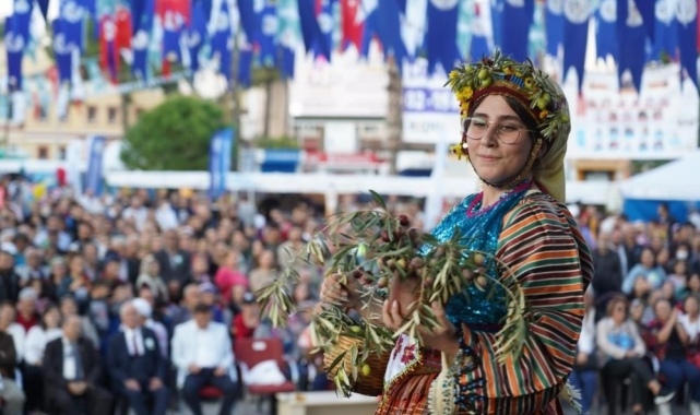Milas'ta zeytin hasat şenliği için geri sayım başladı