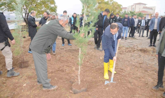 Milli Ağaçlandırma Günü'nde Cizre'de fidanlar toprakla buluştu