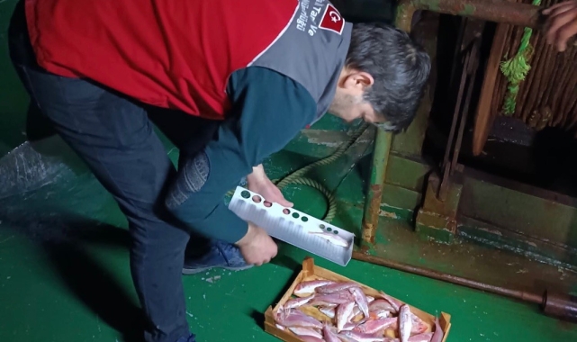 Muğla'da su ürünleri av yasağı denetimleri aralıksız devam ediyor